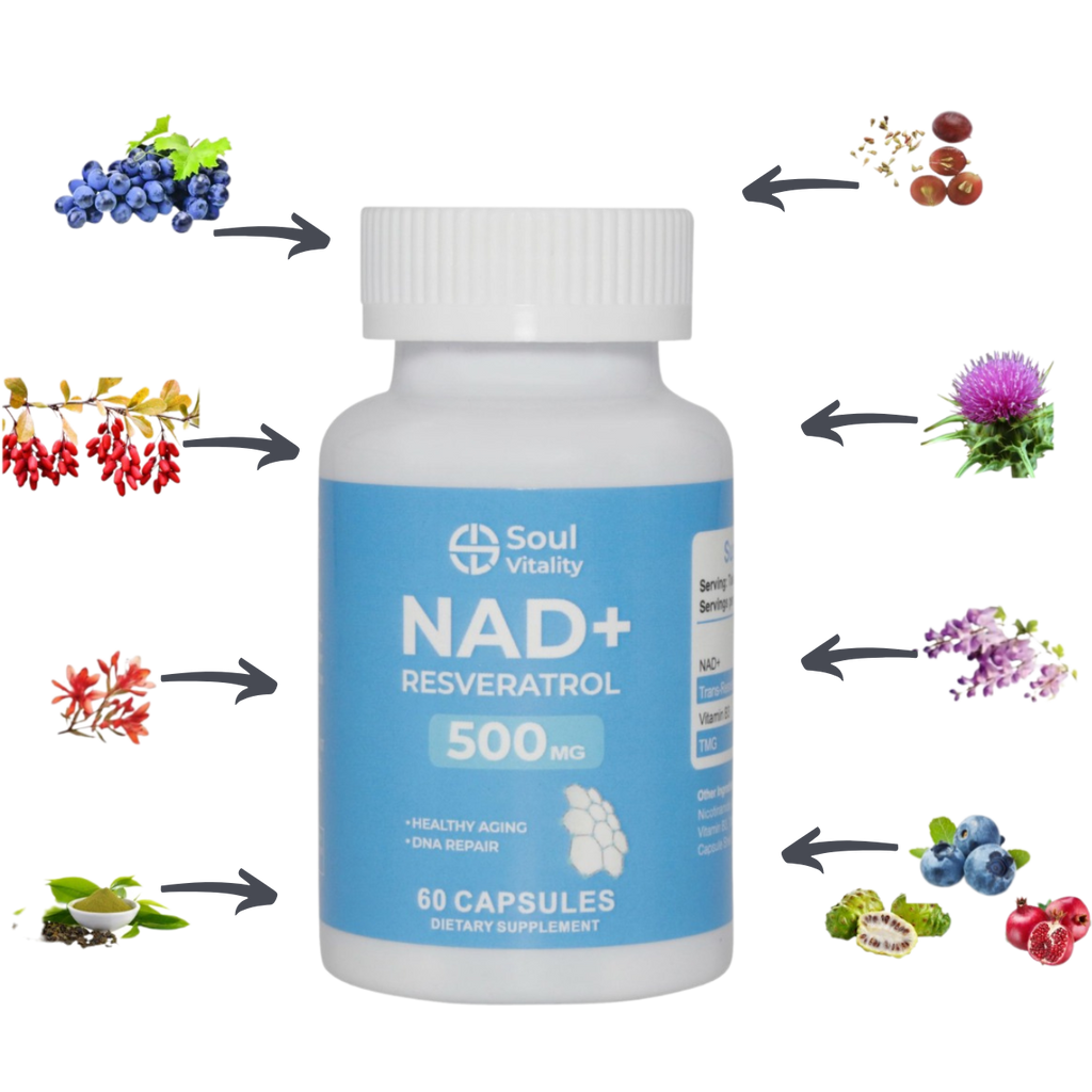 NAD+ Resveratrol 500mg - 60 Dietary Supplement Capsules