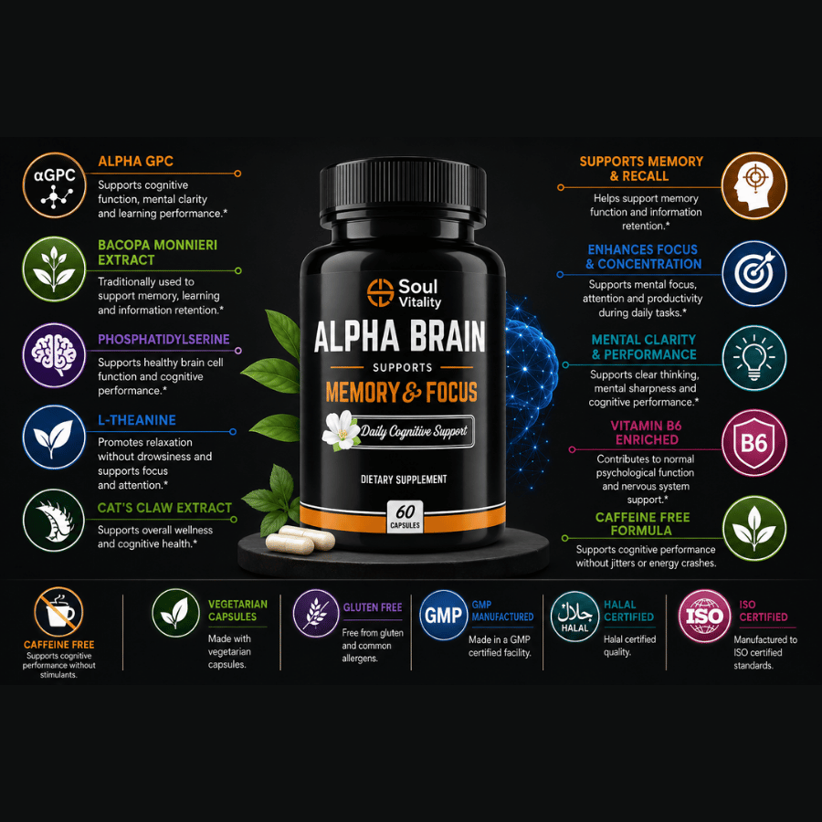 Alpha Brain – Memory & Focus Support Capsules
